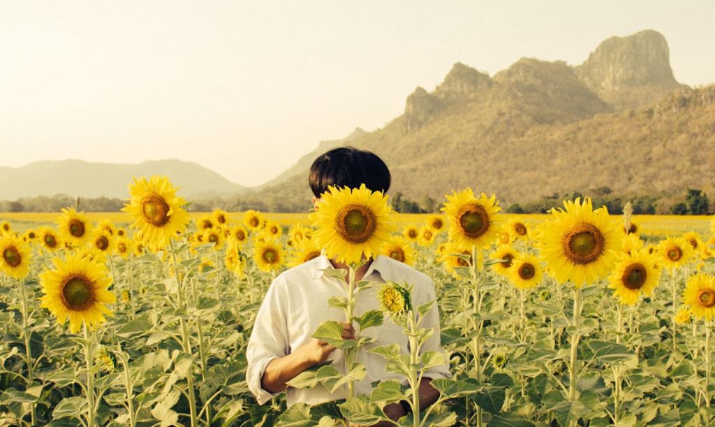 empresas responsables